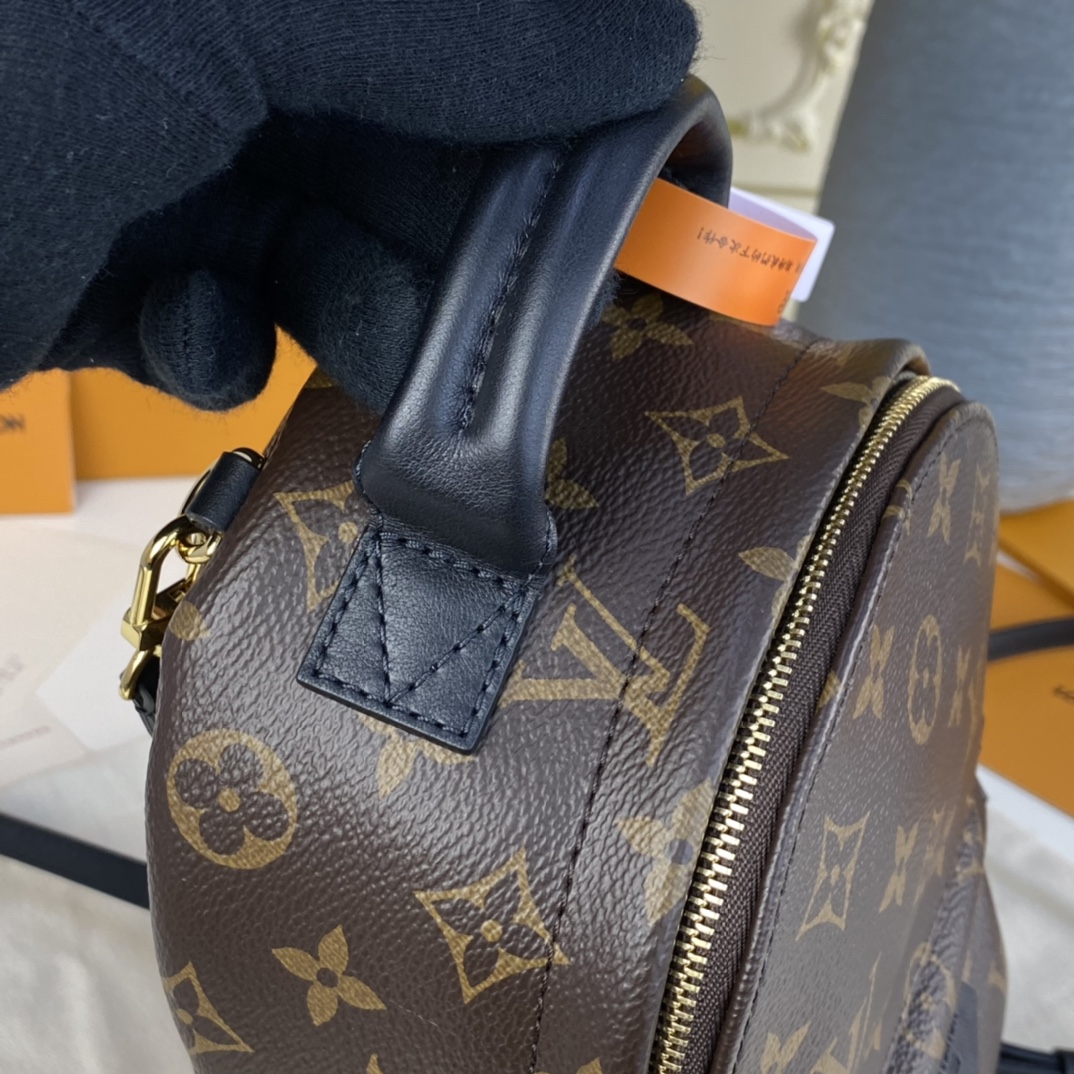 Louis Vuitton PALM SPRINGS PM Backpack Monogram M44871